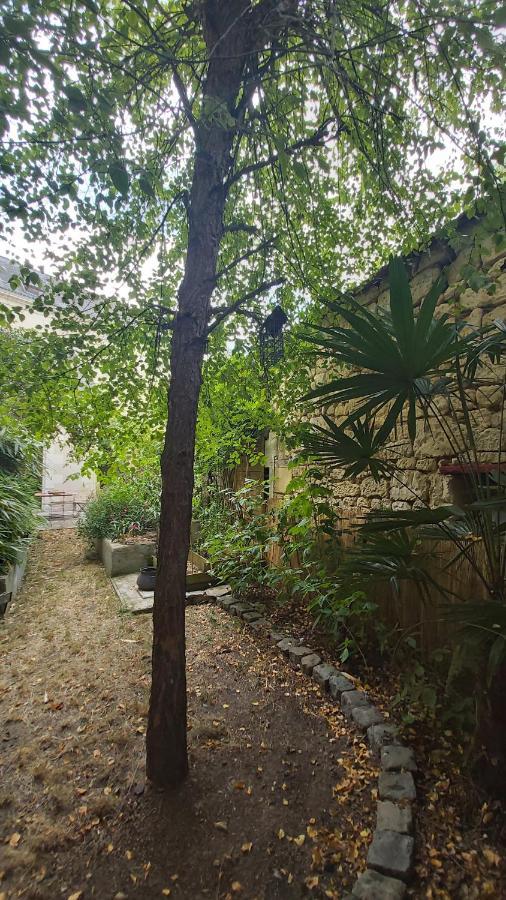 La Maison De Louise Chinon #Chateaux #Vignobles Eksteriør bilde